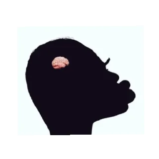 Telegram sticker 🖼 Preto é gente?