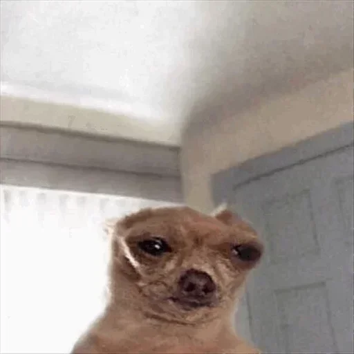 Telegram sticker 🙂 عمك @RLH55