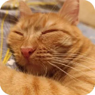 Телеграм стикер 😴 Кузя Лакомкин