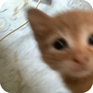 Телеграм стикер 😳 Кузя Лакомкин