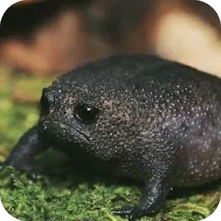 Sticker ☹ Кузя Лакомкин