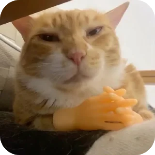 Video sticker 🐱 Призвание музыканта, согласно грекам, заключается