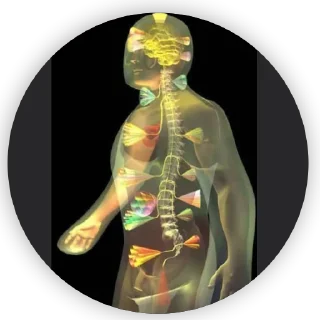 Телеграм стикер 😶 Tarek abrahim 1111