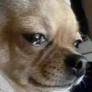 Video sticker 😢 raminastyle