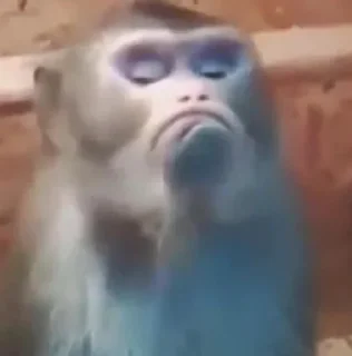 Video sticker ☹️ raminastyle