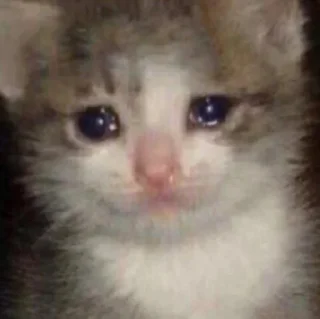 Telegram sticker 😢 raminastyle