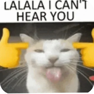 Telegram sticker 🐱 الجمهورية الماتوردية