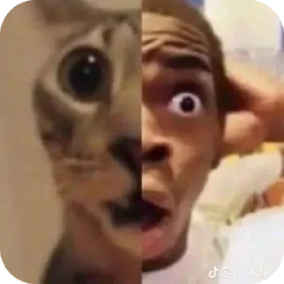 Video sticker 🤲 الجمهورية الماتوردية