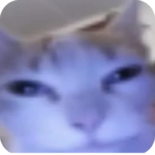 Telegram sticker 🤲 الجمهورية الماتوردية