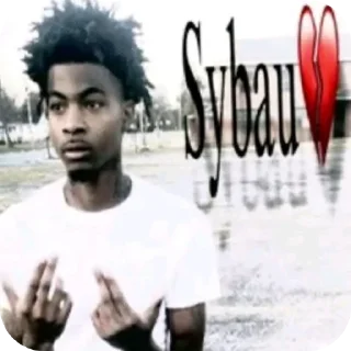 Video sticker 😀 SYBAU