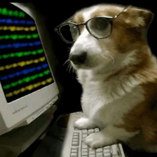 Telegram sticker 🥺 Michael @Nolies666