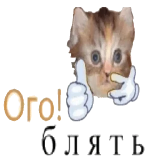 Телеграм стикер 🙀 Акмаль не дурак(