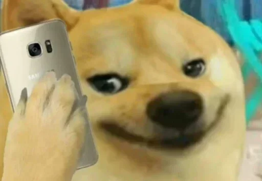 Telegram sticker 🤔 Kiya haal hai guru