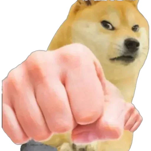 Telegram sticker 👊 Kiya haal hai guru