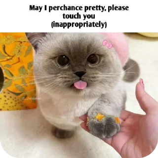 Telegram sticker 🥰 What it says