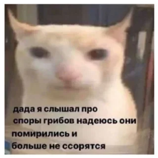 Video sticker 🍔 Больше стикеров тут: @StikeryTG18