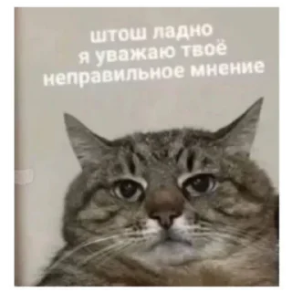 Sticker 🍔 Больше стикеров тут: @StikeryTG18