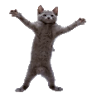 Telegram sticker 🕺 Ruiz Pack III @XRuizinho — @stckrRobot