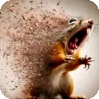 Telegram sticker 👍 Lá ele