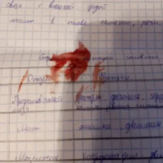 Sticker 😣 Больше стиков тут: @stikery4