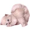 Sticker 😹 @lizzzzkinsss
