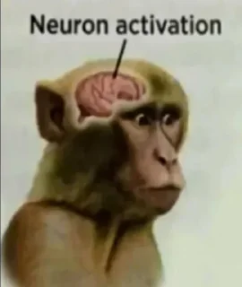 Telegram sticker 🤔 Steven Sandoval Steal Pack