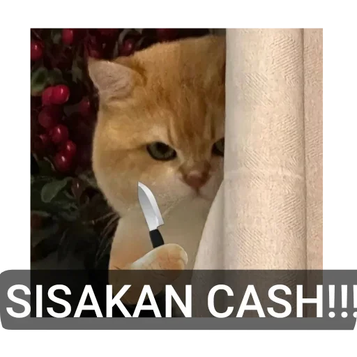 Telegram sticker 🐱 /Hannes2 :: @fStikBot