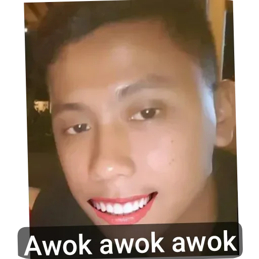 Telegram sticker 🤔 /Hannes2 :: @fStikBot