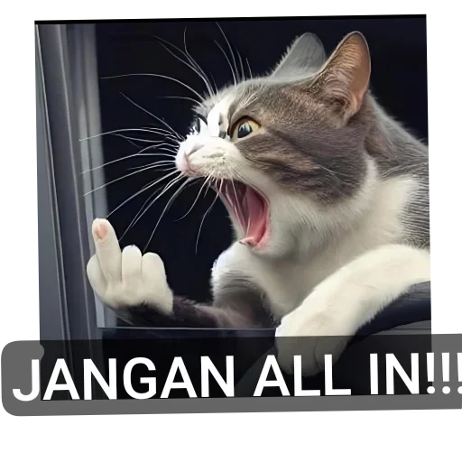 Telegram sticker 🐱 /Hannes2 :: @fStikBot