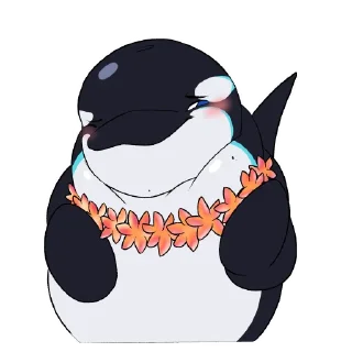 Video sticker 🌸 Takoda