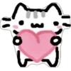 Video sticker ❤️ kitty @TgEmodziBot