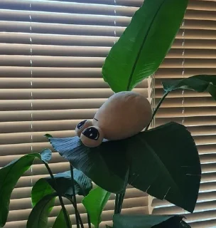 Telegram sticker 😴 pou @raracore :: @fStikBot