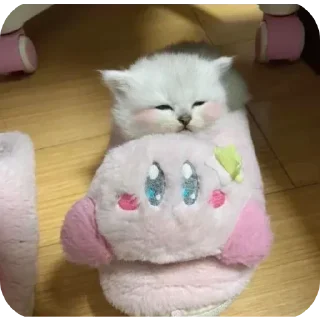 Video sticker 🤩 Больше стикеров тут: @stikery_emodzi_memy