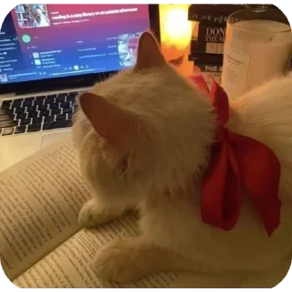 Telegram sticker 🤩 Больше стикеров тут: @stikery_emodzi_memy