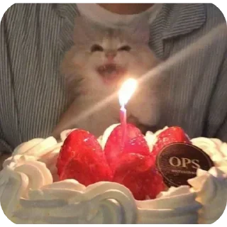 Telegram sticker 🤩 Больше стикеров тут: @stikery_emodzi_memy