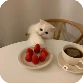 Telegram sticker 🤩 Больше стикеров тут: @stikery_emodzi_memy