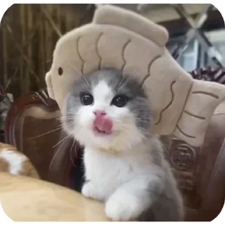 Video sticker 🤩 Больше стикеров тут: @stikery_emodzi_memy