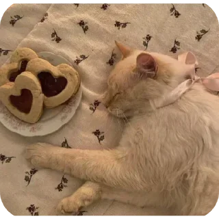 Telegram sticker 🤩 Больше стикеров тут: @stikery_emodzi_memy