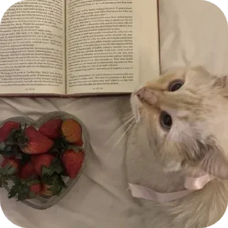 Telegram sticker 🤩 Больше стикеров тут: @stikery_emodzi_memy