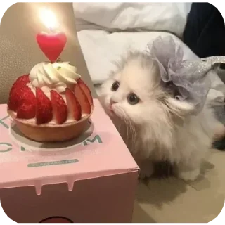 Telegram sticker 🤩 Больше стикеров тут: @stikery_emodzi_memy