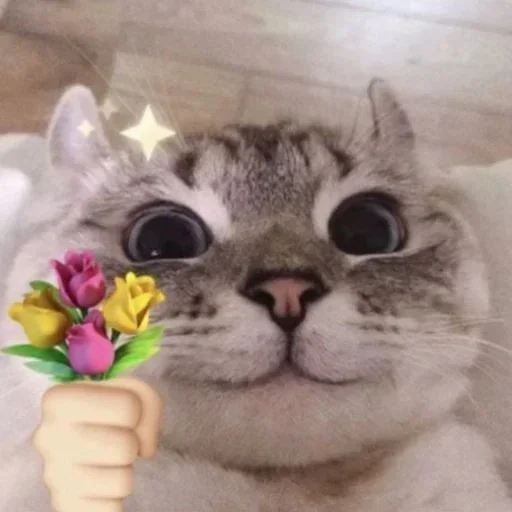 Telegram sticker 💐 Bunny :: @fStikBot