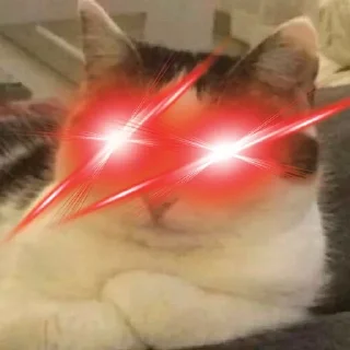 Video sticker 🌟 CB Pack :: @fStikBot