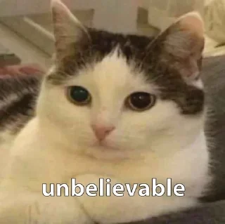 Video sticker 🌟 CB Pack :: @fStikBot