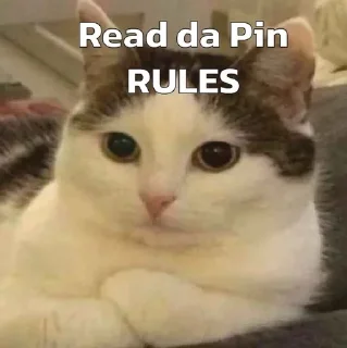 Telegram stiker 🌟 CB Pack :: @fStikBot