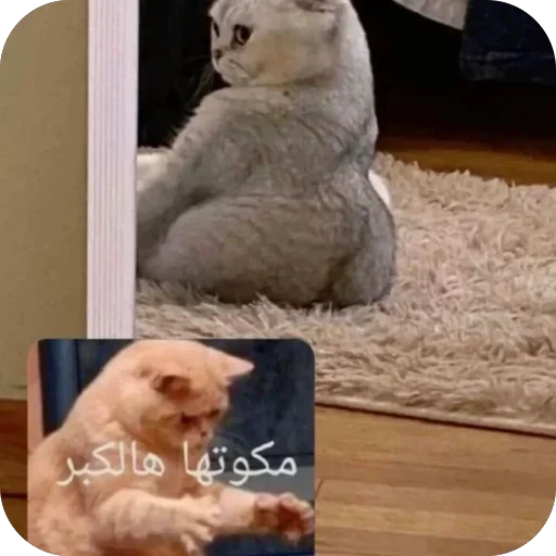 Telegram sticker 😹 BAKI 3MK