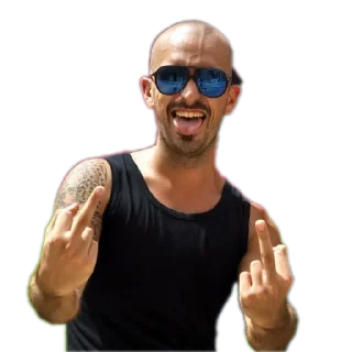 Video sticker 🖕 Tano