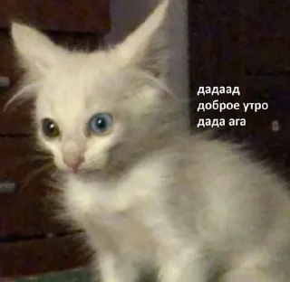 Telegram sticker 😔 Стикеры @stickrubot @textmeru_bot