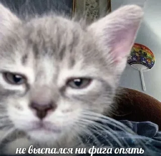 Telegram sticker 😔 Стикеры @stickrubot @textmeru_bot