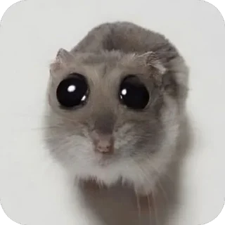 Video sticker 🫥 Больше стикеров тут: @stikery_video_muzyka