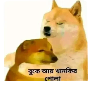 Telegram stiker 🥺 @lifelessguy এর স্টিকারের ঝুলি